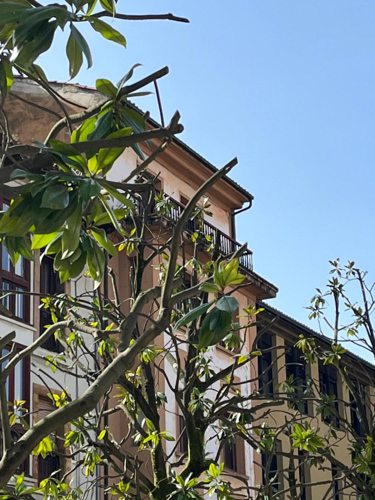 Apartamento Salsipuedes-La Catedral Oviede Extérieur photo